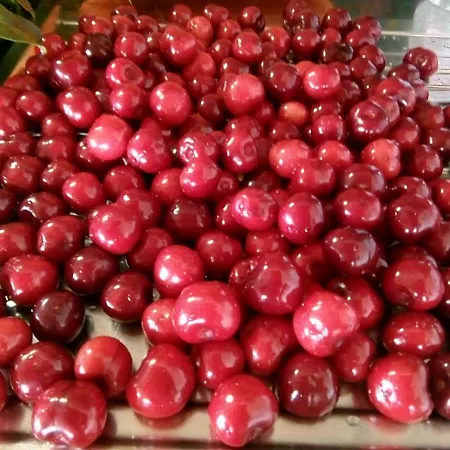 Impietra * 아그로폴리