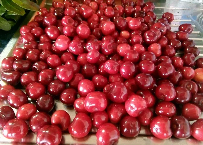 Impietra * 아그로폴리